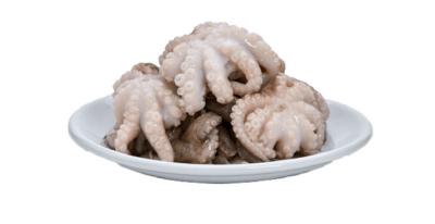 Bạch tuộc tươi đã làm sạch cấp đông size 10-20 con/kg