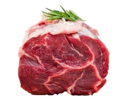 Bắp hoa bò Canada - Excel conical (NK)