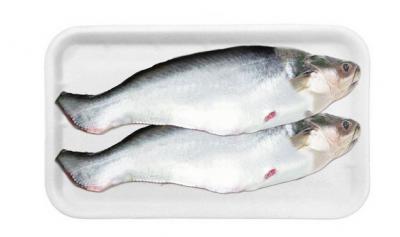 Cá basa làm sạch, nuôi an toàn Vietgap giá tốt Size 3-3,5 kg/con