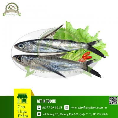 Cá Chuồn Đông Lạnh