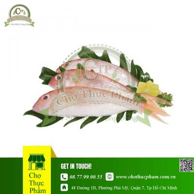 Cá Đổng Cờ Đông Lạnh