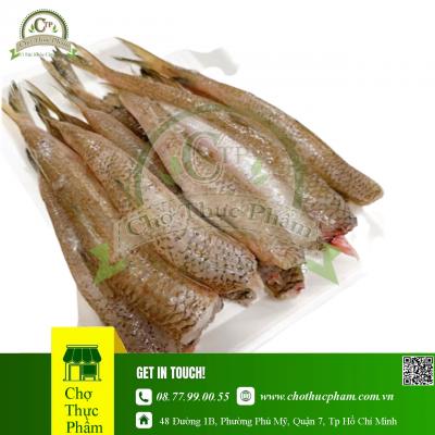 Cá Mối Làm Sạch