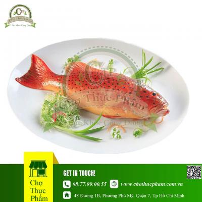 Cá Mú Đỏ Làm Sạch