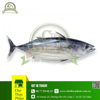 Cá Ngừ Đông Lạnh