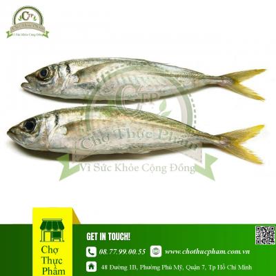 Cá Nục Gai Đông Lạnh