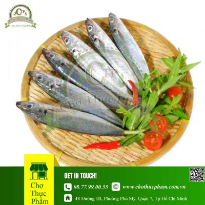 Cá Nục Suôn Đông Lạnh