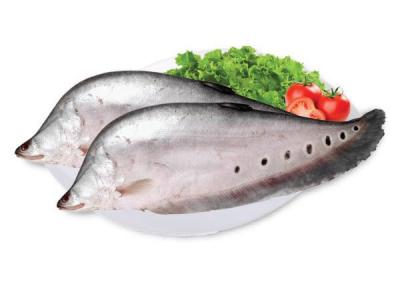 Cá thát lát (cá thác lác) rút xương nguyên con, bổ dưỡng Size 3 con/kg