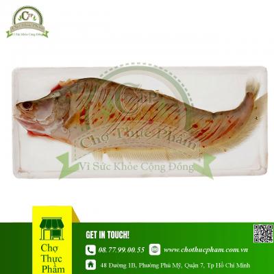 Cá Thát Lát Rút Xương Giá Sỉ