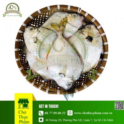 Cá Tín – Cá Liệt Nguyên Con