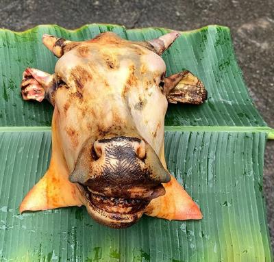 đầu bò nguyên cái