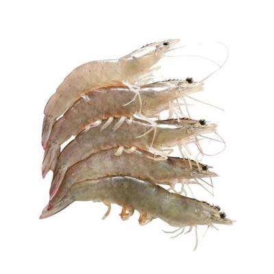 Giá tôm thẻ 35 con/kg