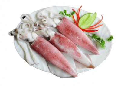Mực trứng đông lạnh 8-10 con/kg