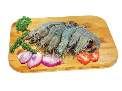 Tôm sú nguyên con tươi sống Size 60-70 con/kg