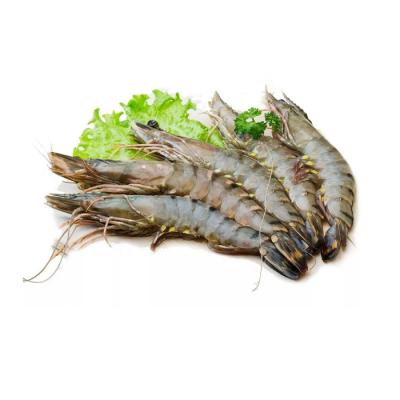 Tôm sú thiên nhiên nguyên con đông lạnh 15-20 con/kg